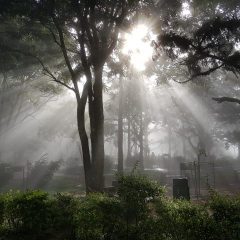 Glance of Sun - Nandi Hills